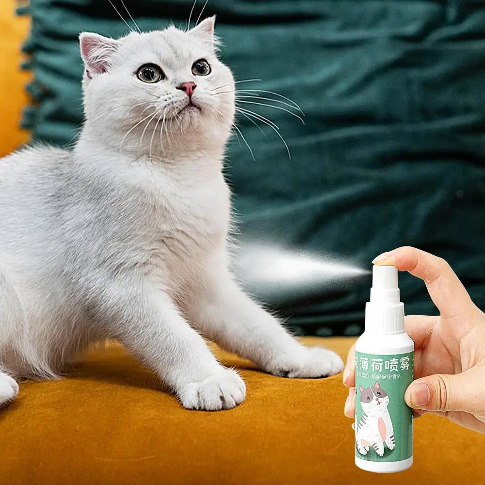 Spray Catnip Natural Maximum Potency Cat Nip Bundle High Potency Catnip 50ml Safe Non-Addictive Catnip Feline And Cat Lover