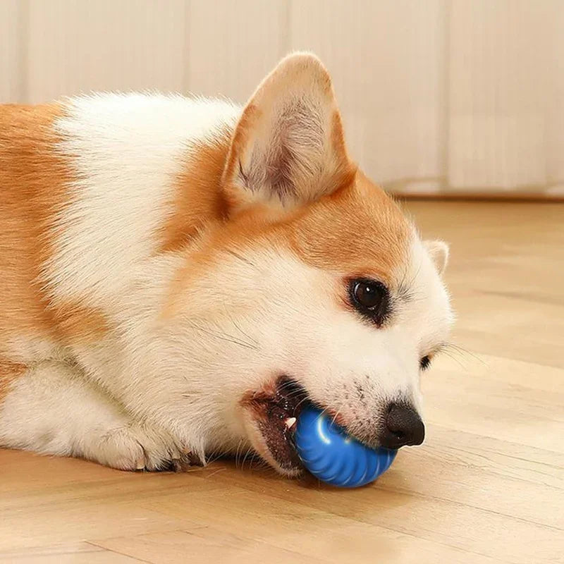 1pcs Dog Toys Intelligent Gravity Jump Ball Rechargeable Bite-Resistant Rolling Ball Cat And Dog Chase Interactive Pet Toys