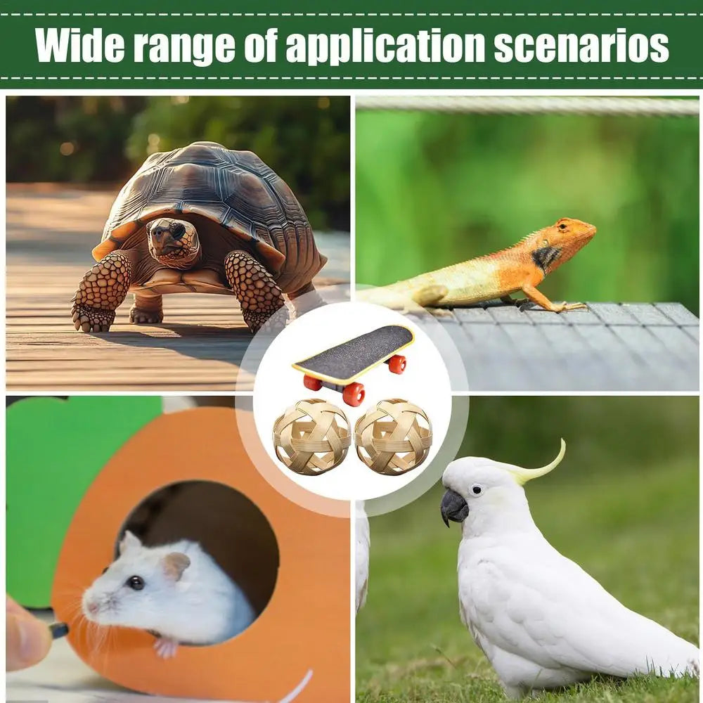 Turtle Feeding Ball Fruit Vegetable Holder with Training Skateboard 2 Treat Balls Turtle Enrichment Toys for Tortoise Turtle