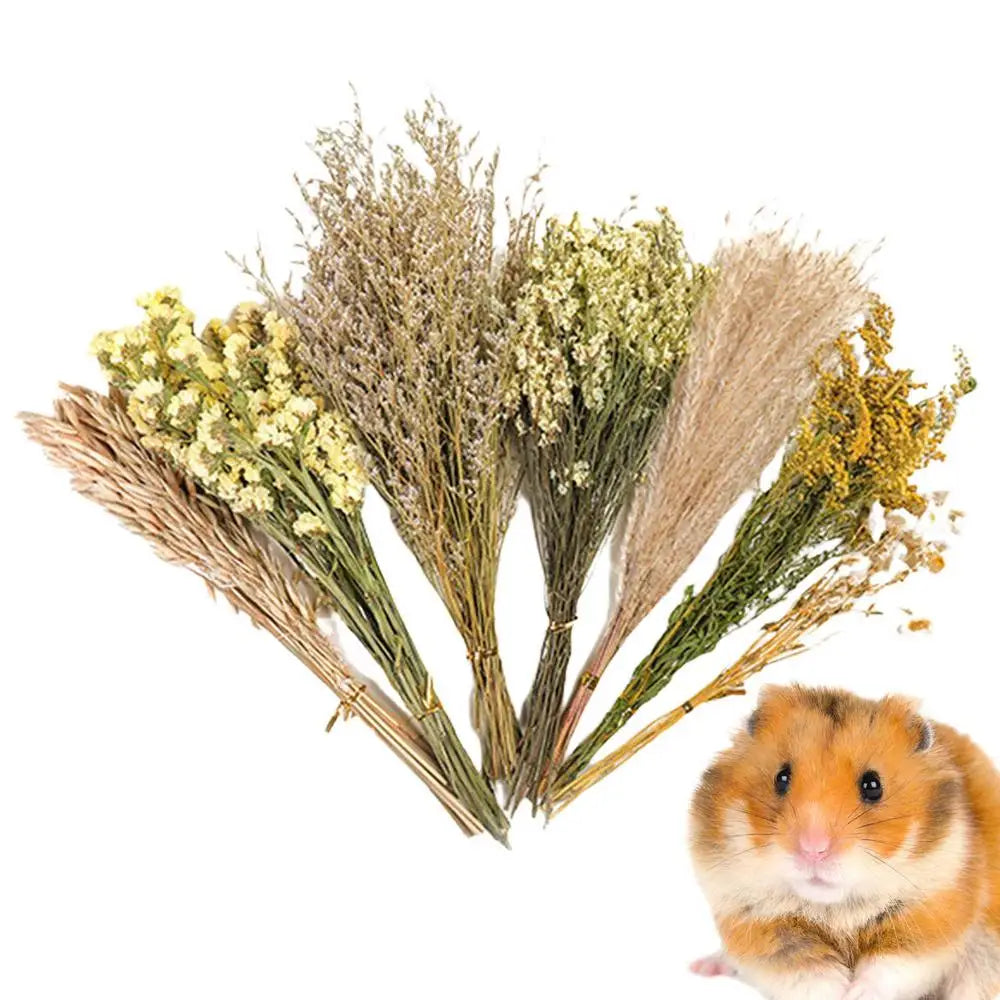 Flower And Plant Bedding Hamster Deodorizing Bedding Golden Bear Nest Landscaping Supplies Dried Flowers
