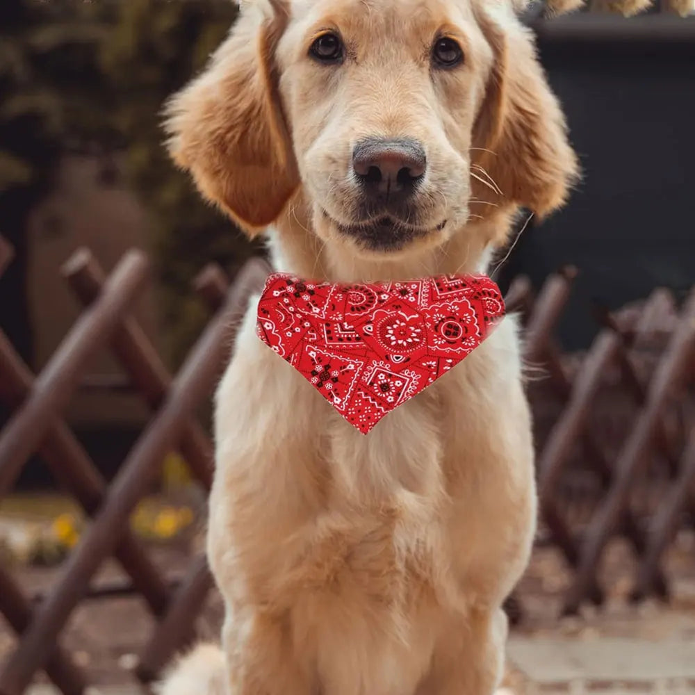 Trendy Reversible Dog Bandanas Fashionable Comfortable Pet Accessories with Dual-Sided Design Adjustable Collars Pet Puppy Cat