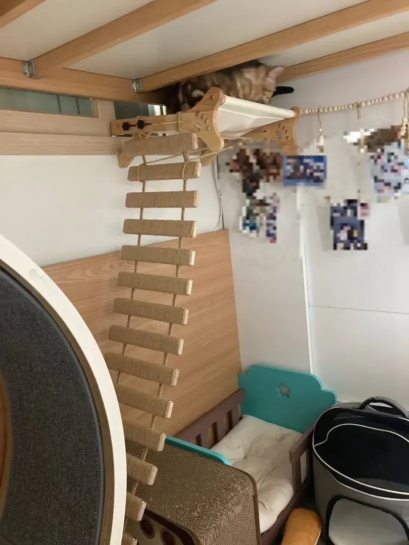 Solid Wood Wall Mounted Cat Tree Wooden Shelves Segment Ladders with Hammock and Cat House Cat Bridge for Kittens Perch Sleeping