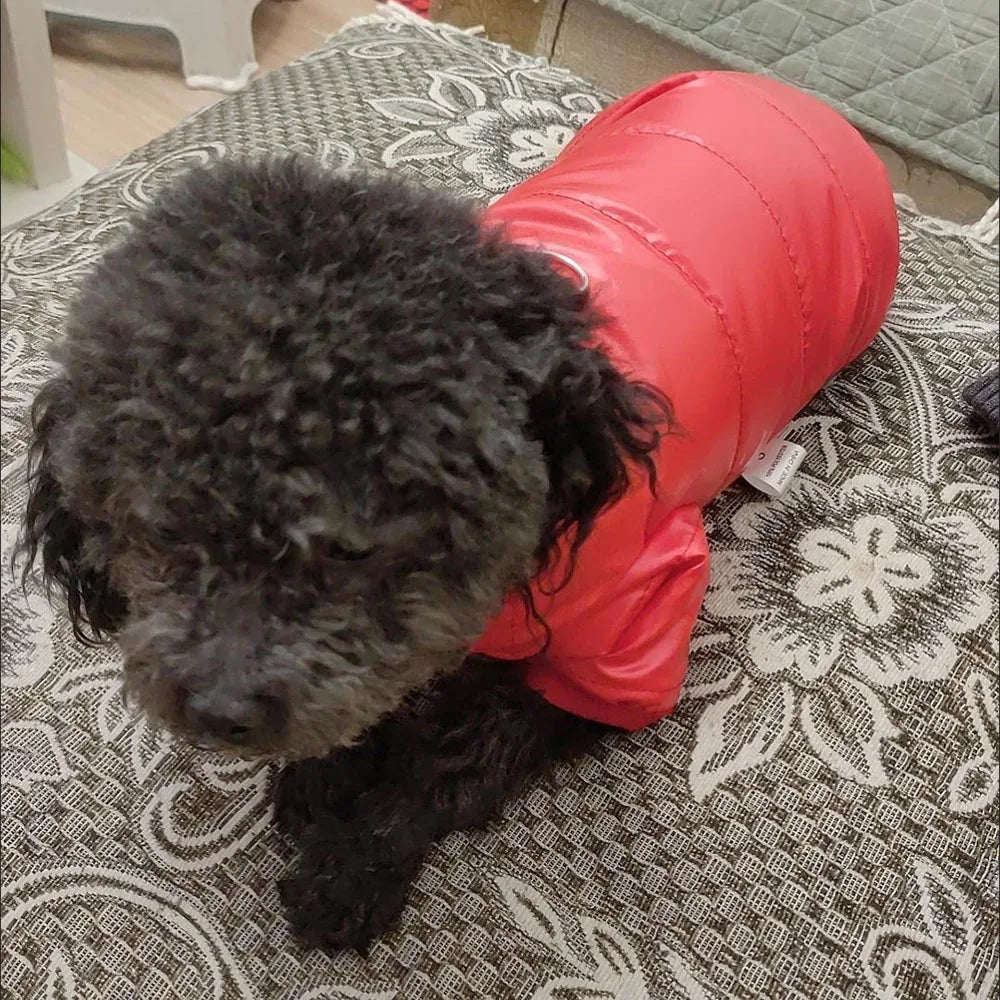 Puppy Pet Dog Clothes Outdoor Windproof Waterproof Leather Dog Coat Winter Warm Padded Jacket for Dogs and Cats in Cold Weather