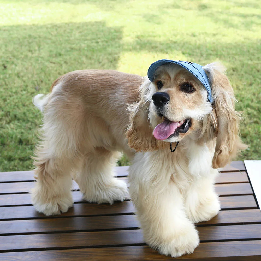Dog Hat with Ear Holes Fashionable Denim Dog Baseball Outdoor Cap Adjustable Summer Travel Sport Hat for Small Medium Large Dogs