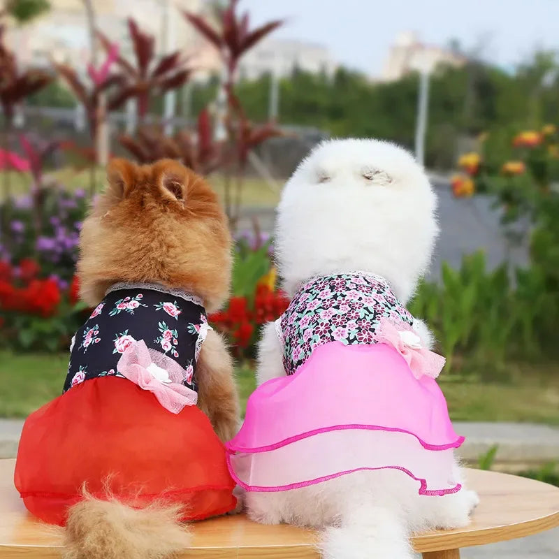 2024 Summer Dress for Dog Pets Clothes Chihuahua Wedding Dress Skirt Cloth Accessory Dog Pet Dress Supplies Hanbok Cat Costume