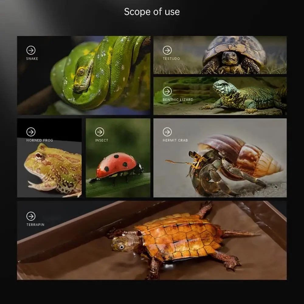 Turtle Water Dish Anti-Slip Turtle Bathing Pot Multifunctional Tortoise Water Bowl Turtle Pool Tortoise Bathing Pool Pet Toys