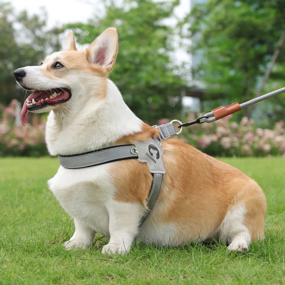 Breathable Y Shape Dog Harness Adjustable Step In Pet Harness Vest for Puppy Small Large Dog Chest Harness Reflective Dog Collar