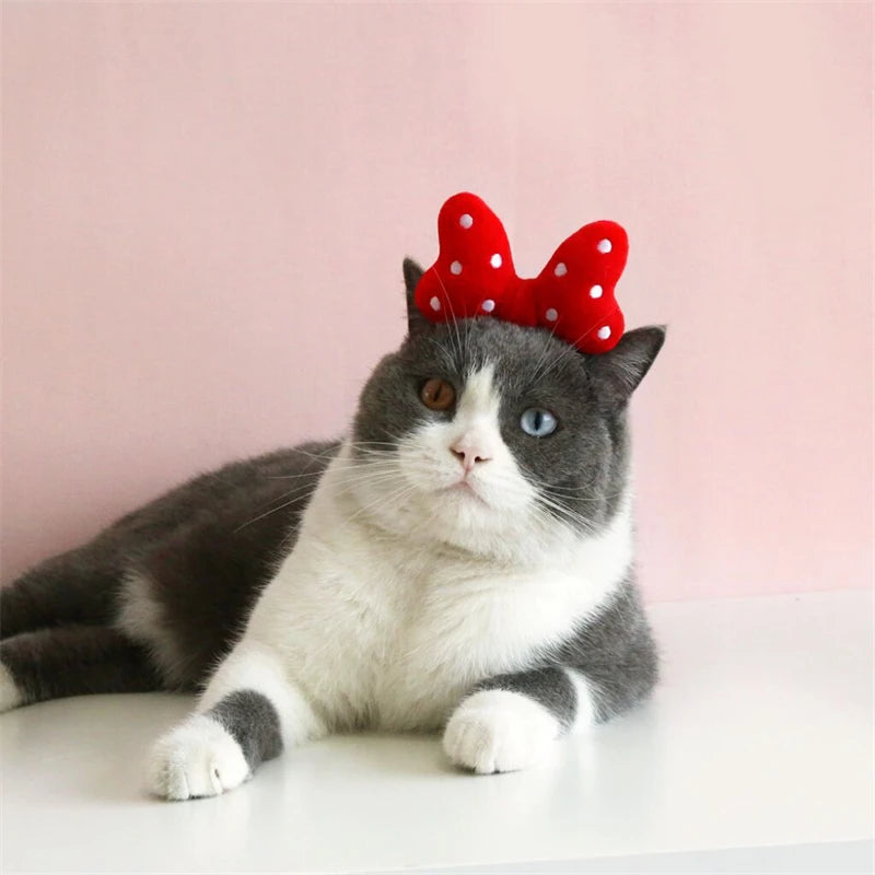Lovely Bow Tie Hair Hoop for Cats Princess Cat Party Head Wear Pet Gifts Small Medium Dogs Accessories Elastic Cats Pet Products
