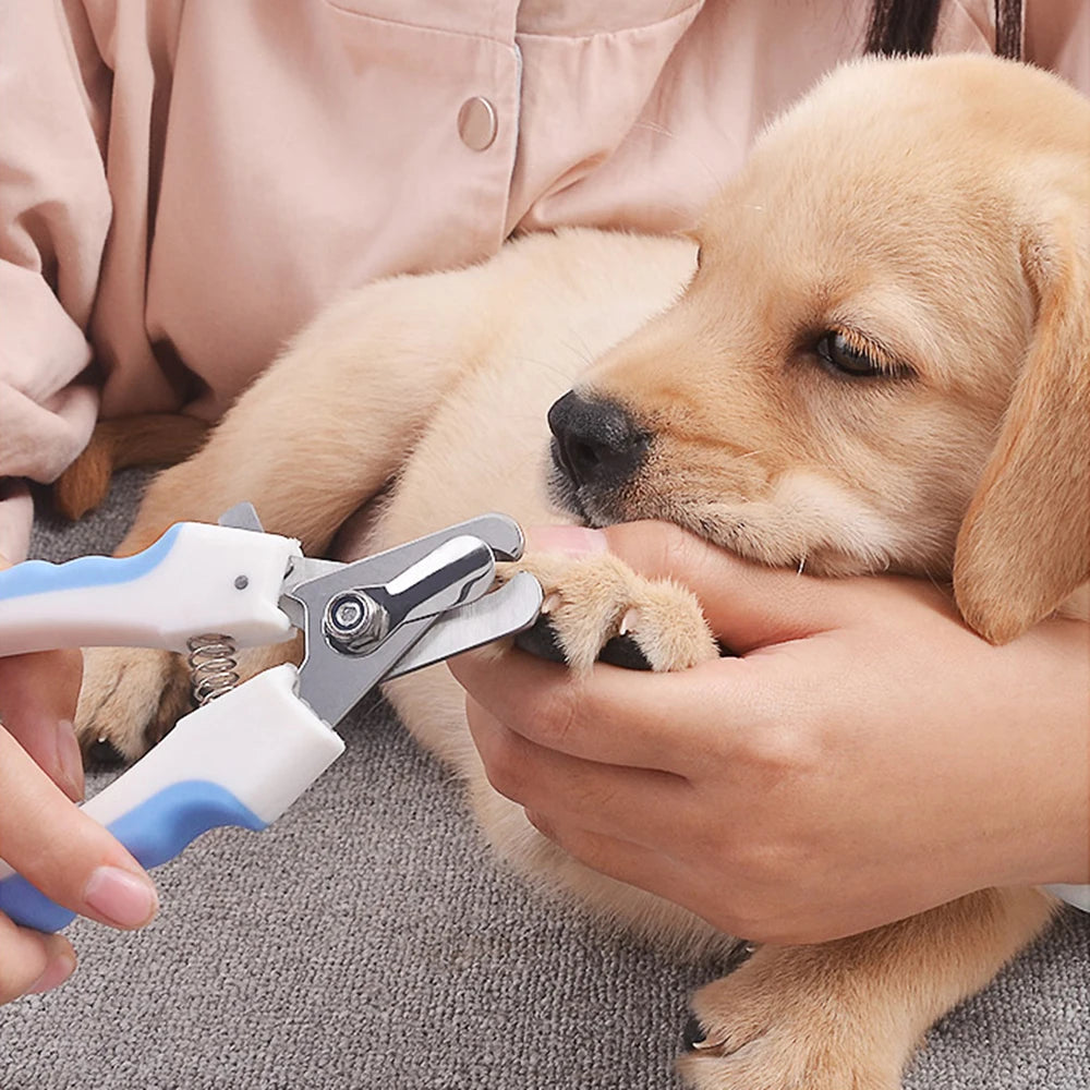 Dog Nail Clippers & Cat Nail Clipper for Small Large Pets Stainless Steel Nailclippers with Safety Guard to Prevent Over-Cutting