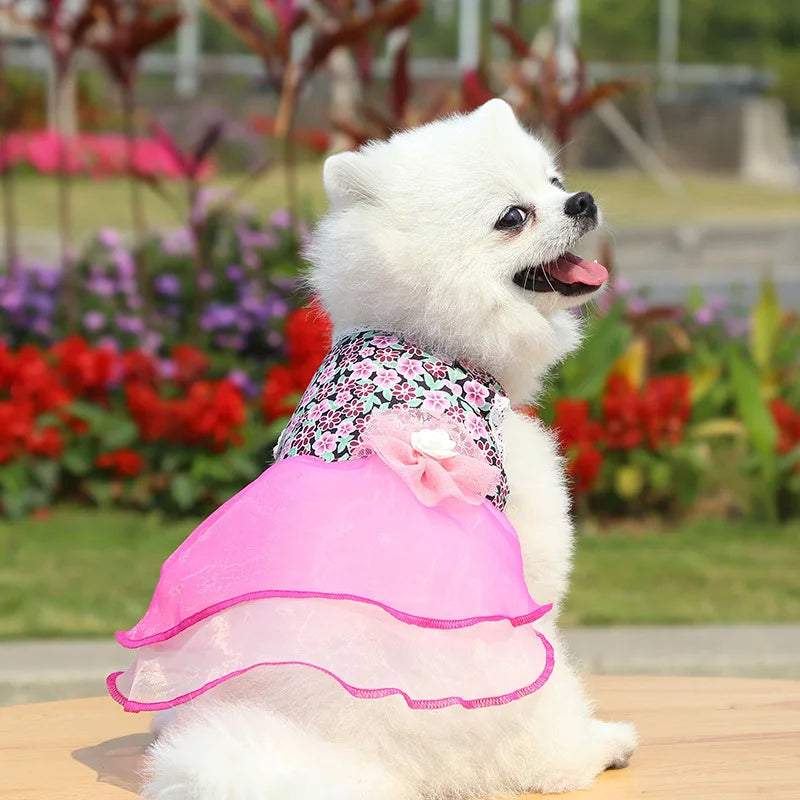 2024 Summer Dress for Dog Pets Clothes Chihuahua Wedding Dress Skirt Cloth Accessory Dog Pet Dress Supplies Hanbok Cat Costume