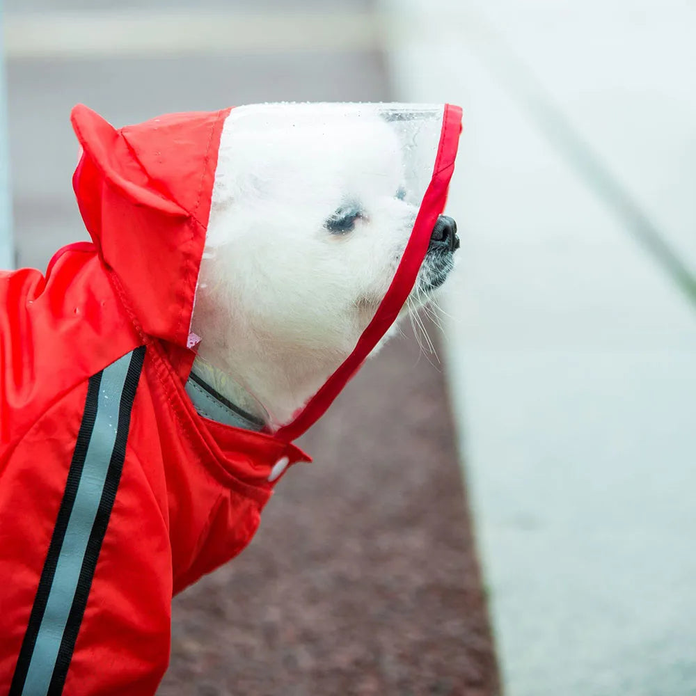 Small Dog All-Body Waterproof Raincoat Funny Animal Shaped Pet Puppy Raincoat Dog Rain Coat Hooded Clothing Outdoor Reflective