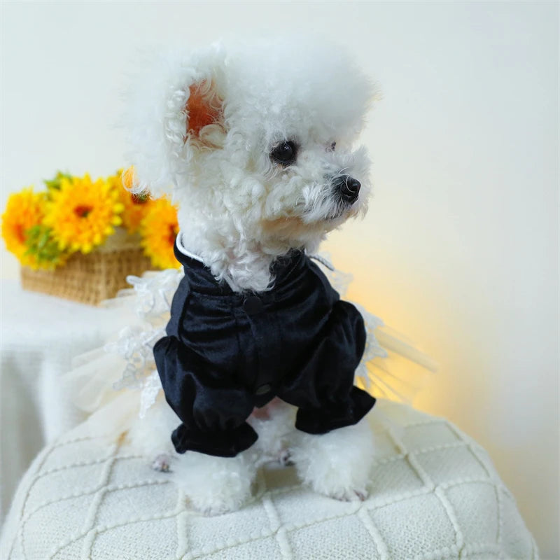 Sweet Princess Female Puppy Summer Clothes Wedding Party Dress for Dogs White Lace French Bulldog Small Medium Pet Cat Clothing