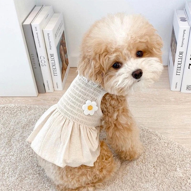 Sweet Summer Fancy Dresses for Cats Daisy Patchwork Vest Skirt Small Medium Pet Dog Clothing Lightweight French Bulldog Overalls