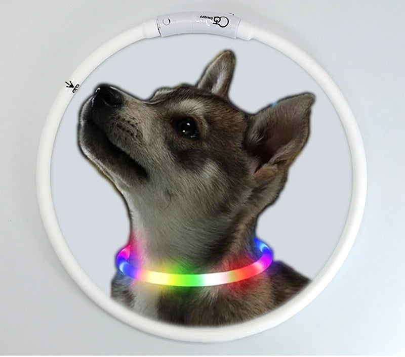 4 Modes Dog Luminou Charge Collar Led Usb Cat Silicone Colorful Collar Detachable Night Glow Pet Loss Prevention Dog Accessories