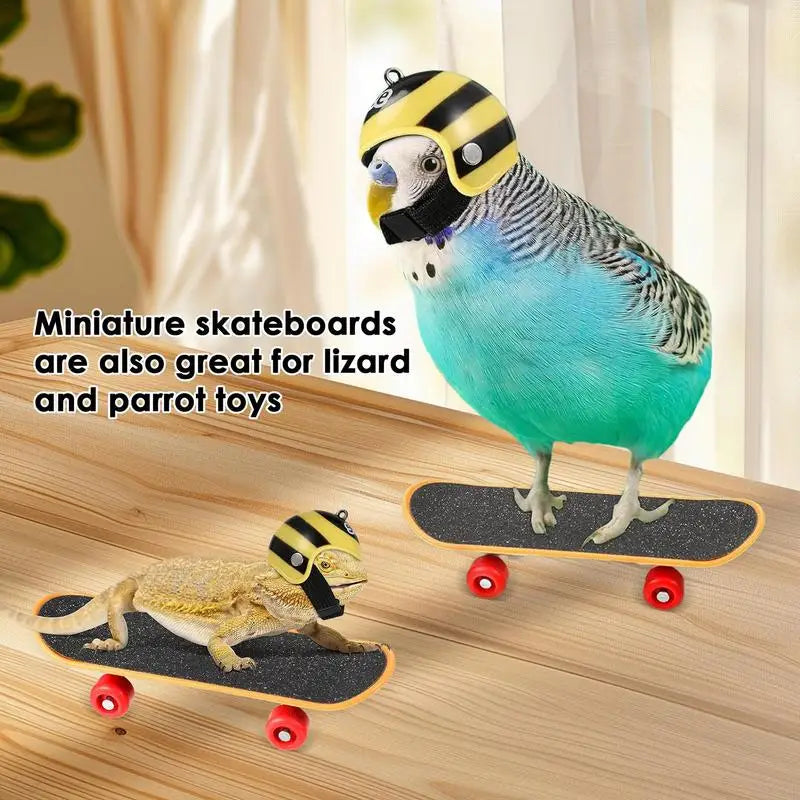 Turtle Feeding Ball Fruit Vegetable Holder with Training Skateboard 2 Treat Balls Turtle Enrichment Toys for Tortoise Turtle