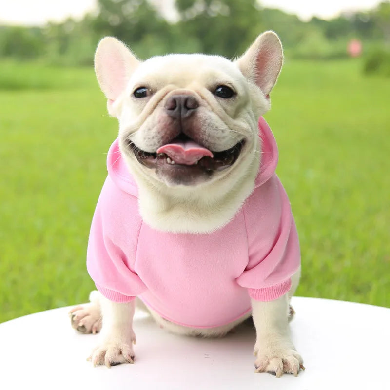 Dog Hoodies Solid Color Sweatshirts with Pocket Pet Pullover Coat Spring Autumn Clothes for Small Dogs, Puppy Cat Sport Costume