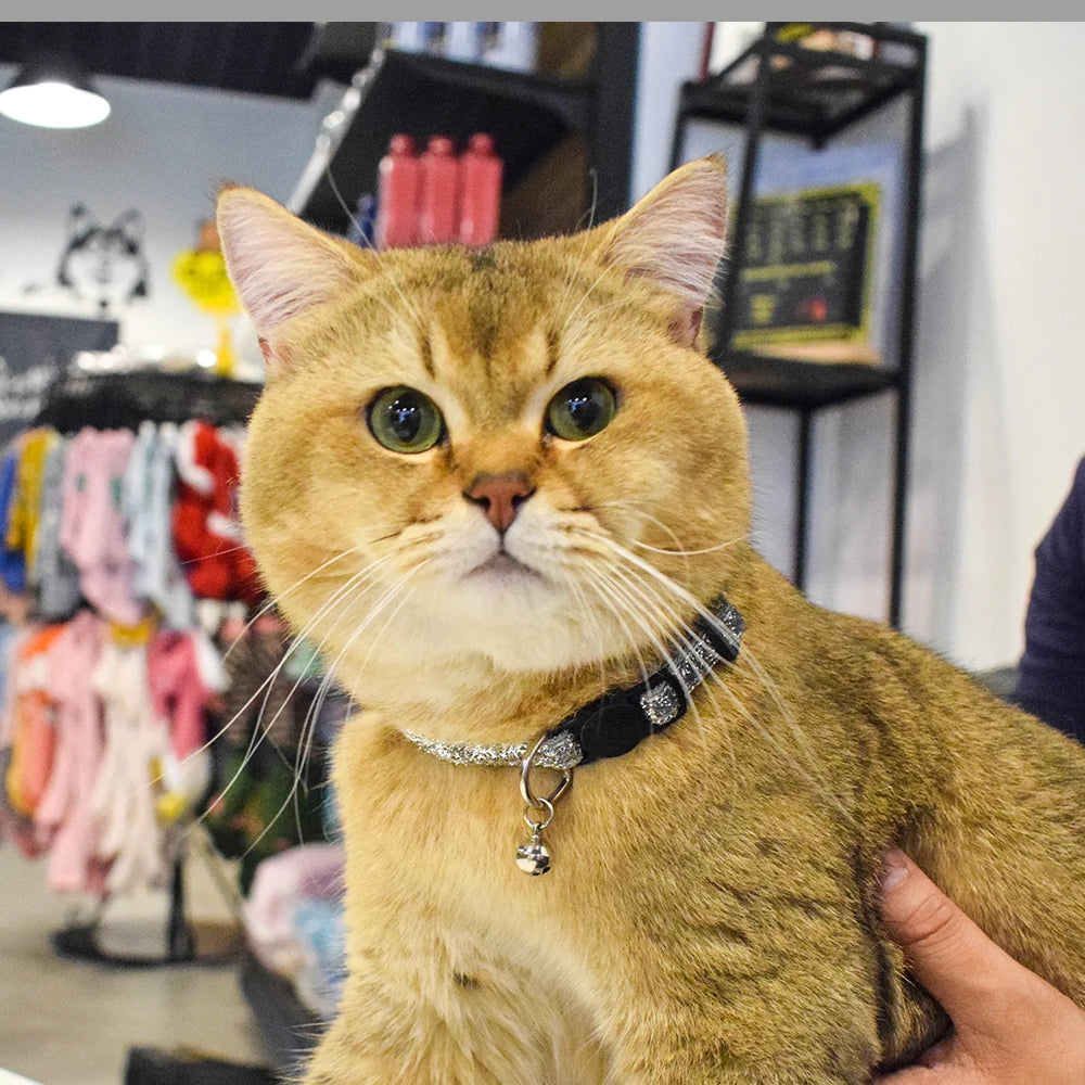 Celebrating Christmas, suitable for cats with bells, cat face safety buckle, nylon collar, pet cat collar, one piece