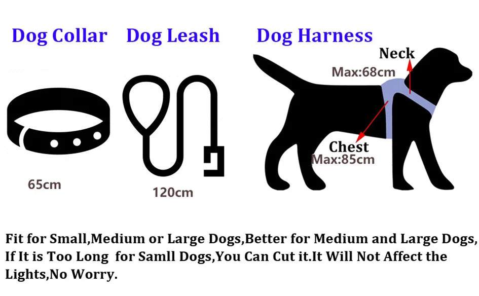 Led Light Up Dog Leash Walking Safety Glow in The Dark USB Rechargeable Adjustable for Large Medium Small Pet Lighted Dog Collar