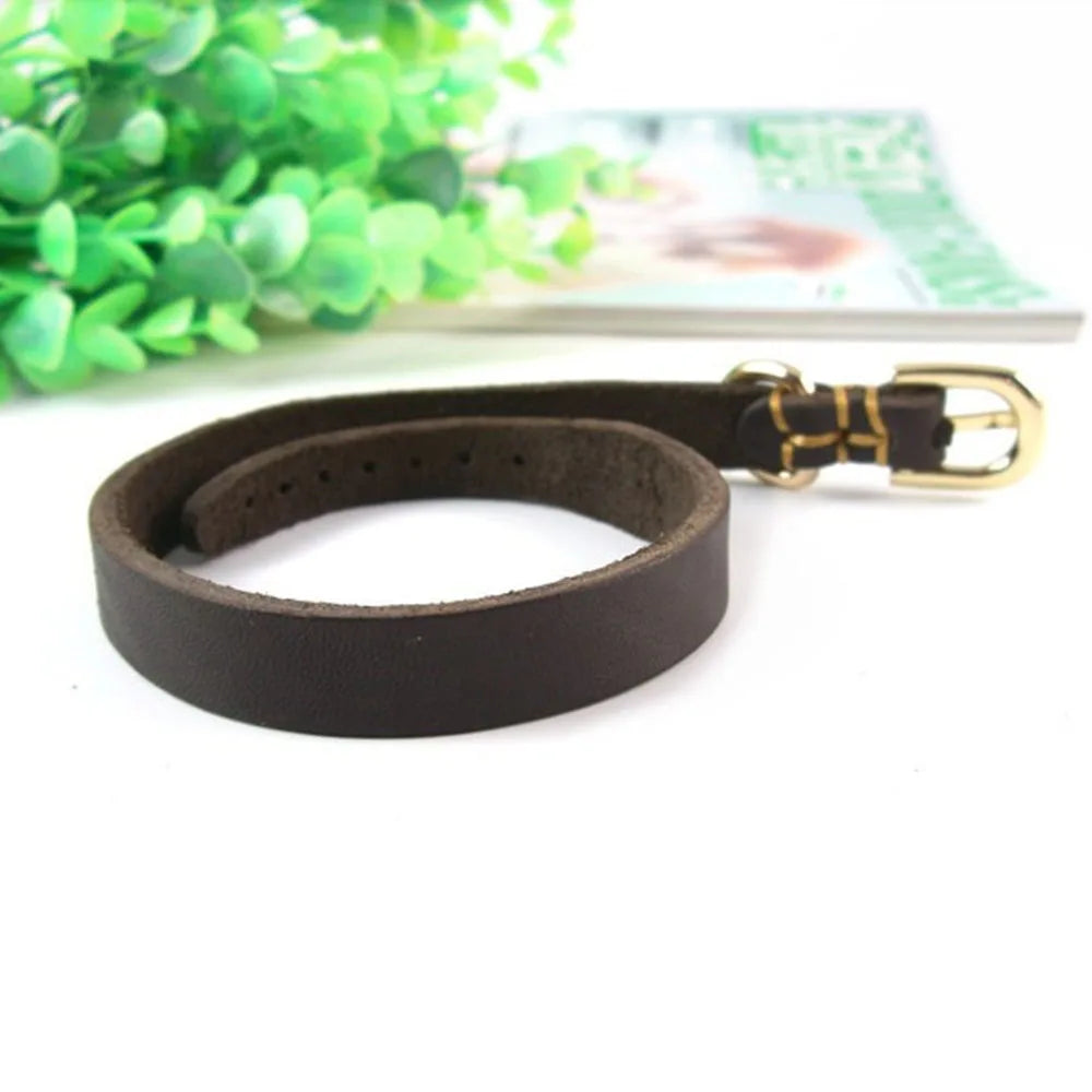 Soft Real Leather Puppy Collar Genuine Leather Dog Collar for Small Dogs and Cats Adjustable Pet Collar for Doggy Terrier Yorkie
