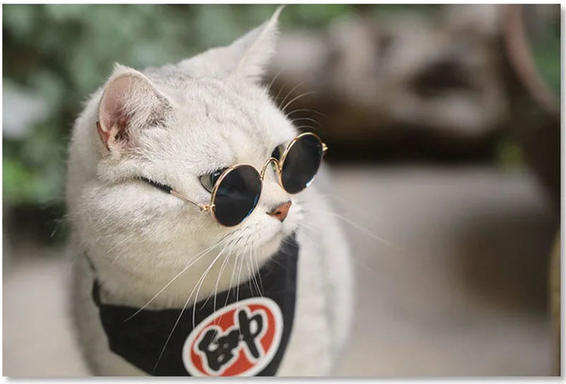 Anti-slip Cat Sunglasses Pet Accessories Small Dog Sun Glasses Classic Retro Circular Glasses for Kitten Photos Props Cosplay