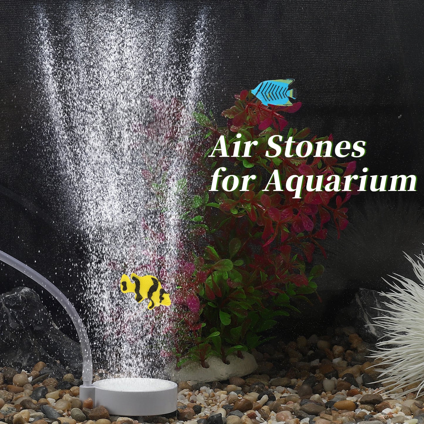 UXCELL 5cm Fish Tank Bubblers Air Stone Nano Air Disk Stone Sets Mini Air Pump Accessories with Tube Suction Cups Air Valve