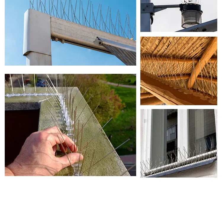 10pcs/box Gardening Bird Repellent, Stainless Steel for Home Balcony to Prevent Bird Repellent