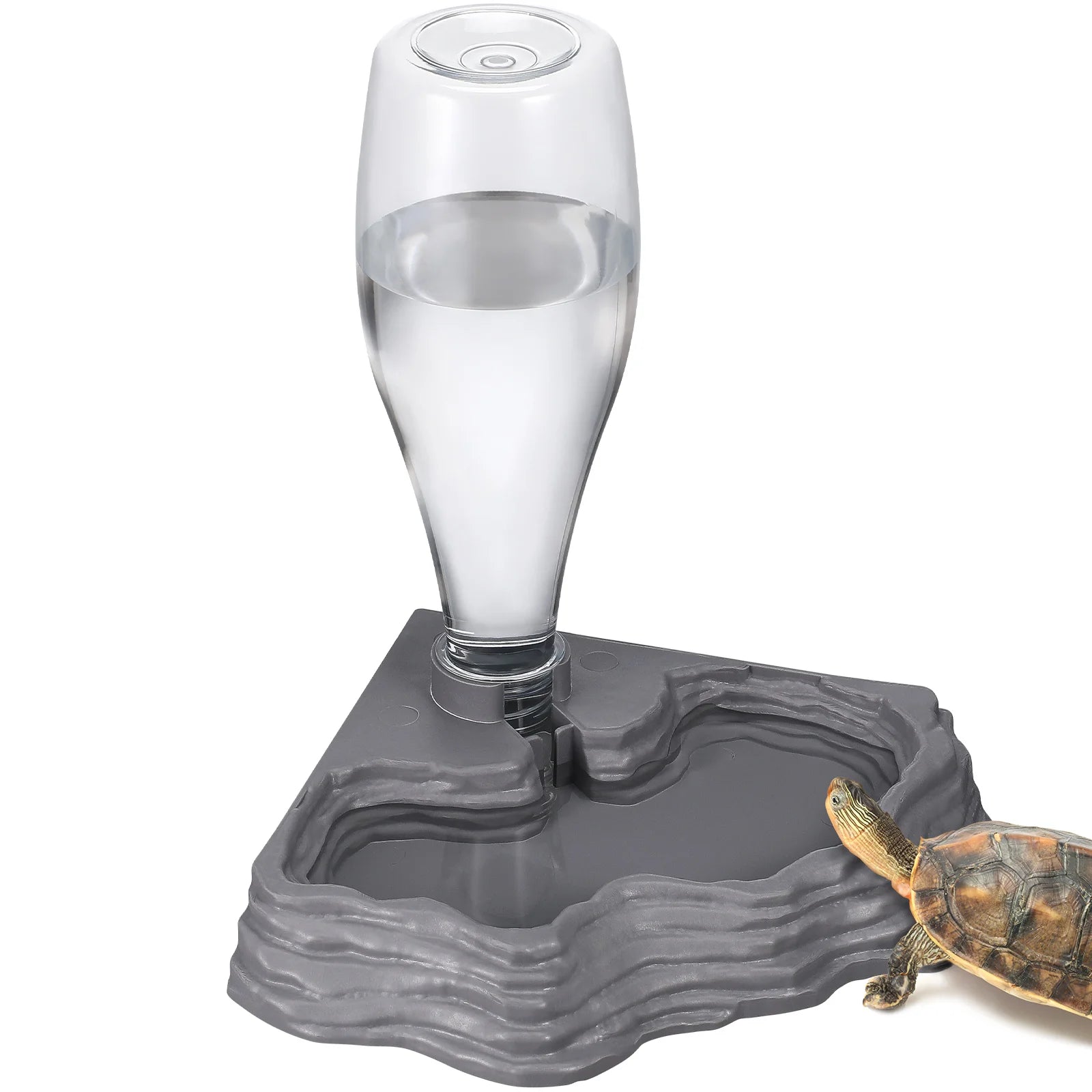 fish tank accessories all animal food Terrarium Lizard Kennel Reptile Gecko and Water Dish – Whiskers Way promoting an ideal habitat Baitcaster Bcf Rods And 2026 Bro's Bros Tackle Color:Jalapeno