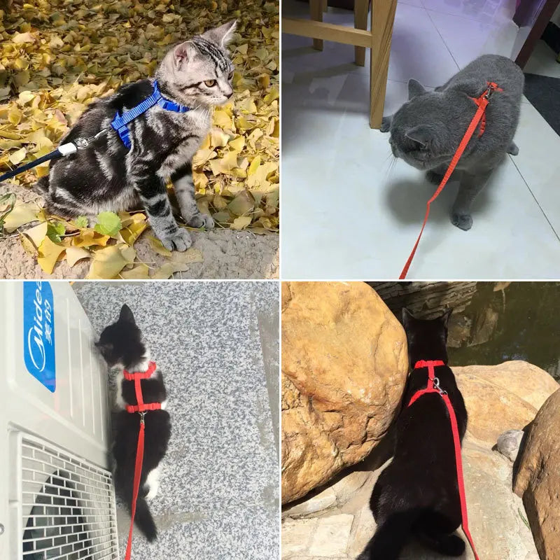 Adjustable Pet Cat Collar For Cats Cozy Nylon Rabbit Kitten Kedi Harness Leash Set Small Puppy Dog Cat Accessories Pet Products