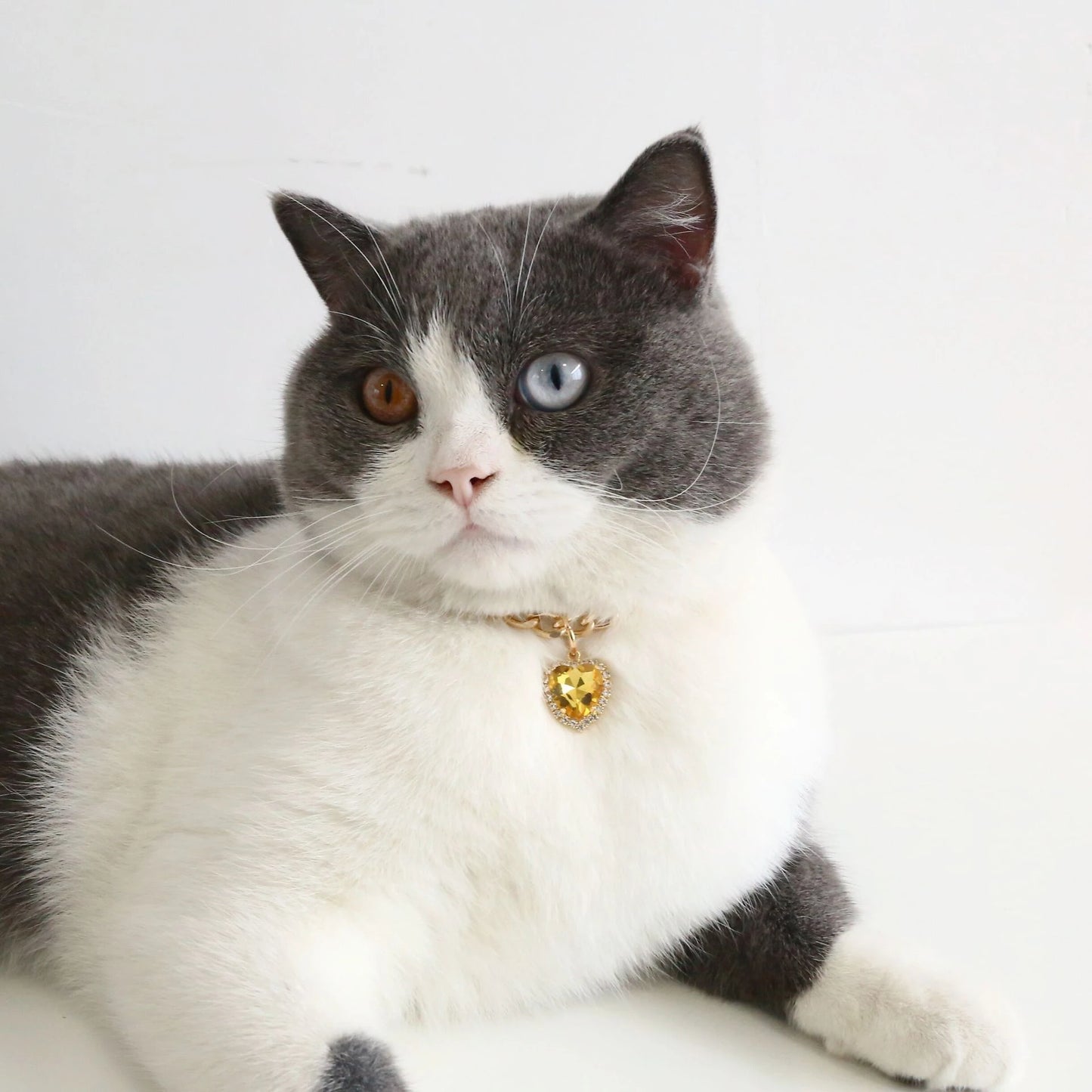 Luxury Dog Cat Necklace Jewelry with Heart Diamond Pendant Design Gold Chain Collar Pet Wedding Birthday Costume Accessories