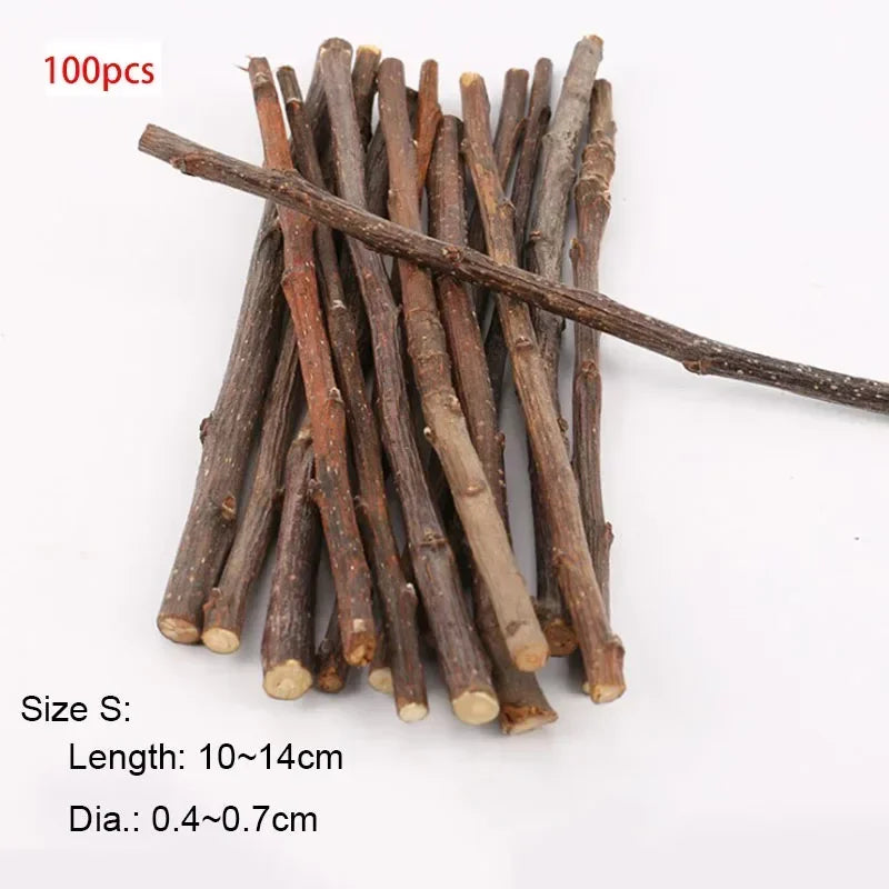 5pcs 10pcs 40pcs Chew Stick Apple Tree Branch Hamster Squirrel Natural Toys Parrots Rabbits Grinding Stick