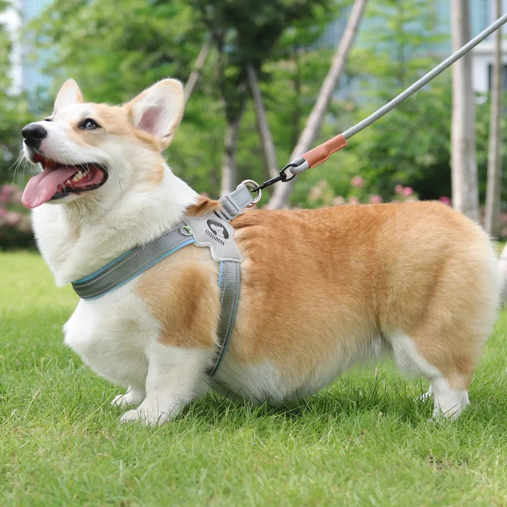 Breathable Y Shape Dog Harness Adjustable Step In Pet Harness Vest for Puppy Small Large Dog Chest Harness Reflective Dog Collar