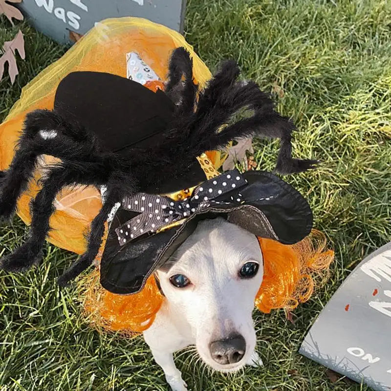 Spider Costume For Cats Fun Realistic Dogs Cats Cosplay Outfit Scary Halloween Dressing For Pet Supplies Festive Costume For