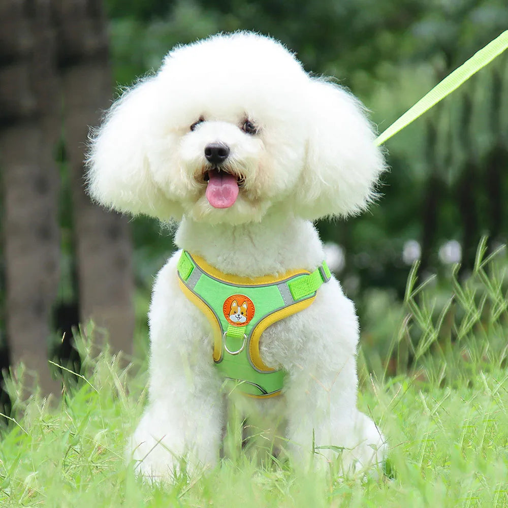 Step-in Dog Harness Small Dog Harness and Leash Set Adjustable Reflective Pet Dog Vest Soft Harness for Puppy Small Medium Breed