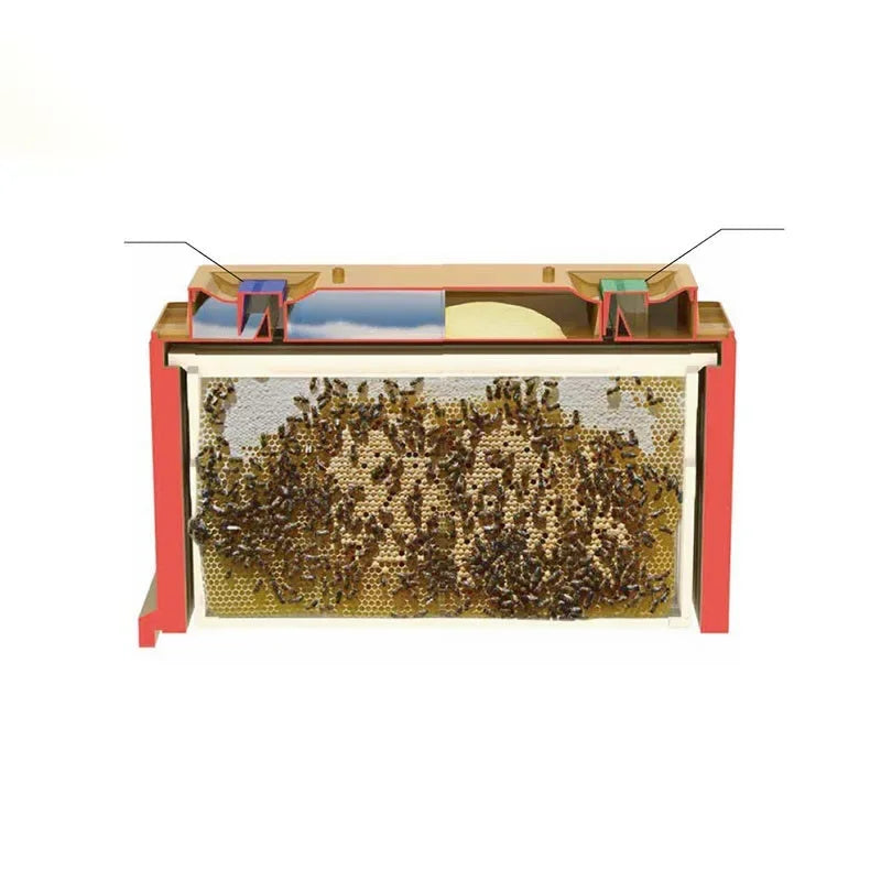 Plastic beekeeping hive honey bee box beehive for bees