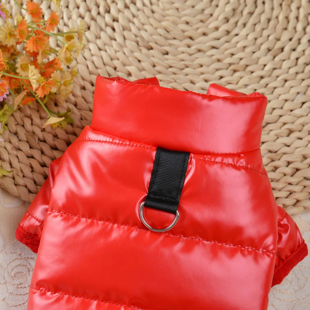 Puppy Pet Dog Clothes Outdoor Windproof Waterproof Leather Dog Coat Winter Warm Padded Jacket for Dogs and Cats in Cold Weather