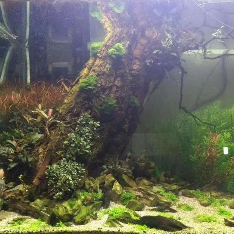 2Pcs Natural Tree Bark Aquarium Decoration Wood Artwork Decor Landscaping Ornaments Decor Fish Tank Background Moss Decor