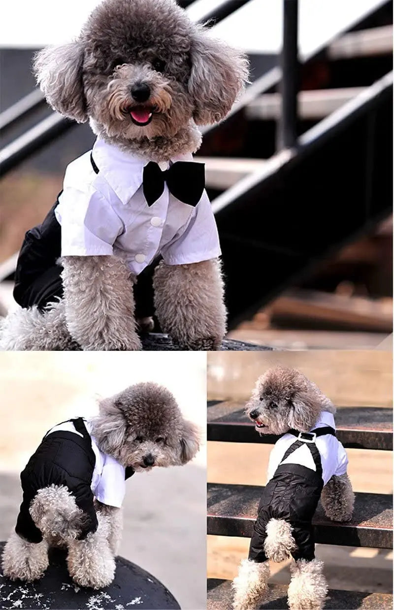 Stylish Dog Tuxedo Suit Dog Prince Wedding Shirt Costume Formal Tuxedo with Bowtie Puppy Clothes Dog Jumpsuit for Small Dogs