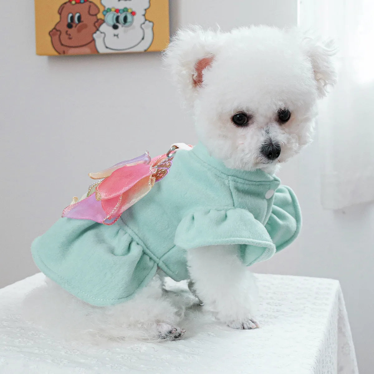 Luxury Woolen Princess Dress for Small Dogs Girl, Autumn Winter Warm Dog Clothes Yorkie Chihuahua Puppy Bowknot Skirts