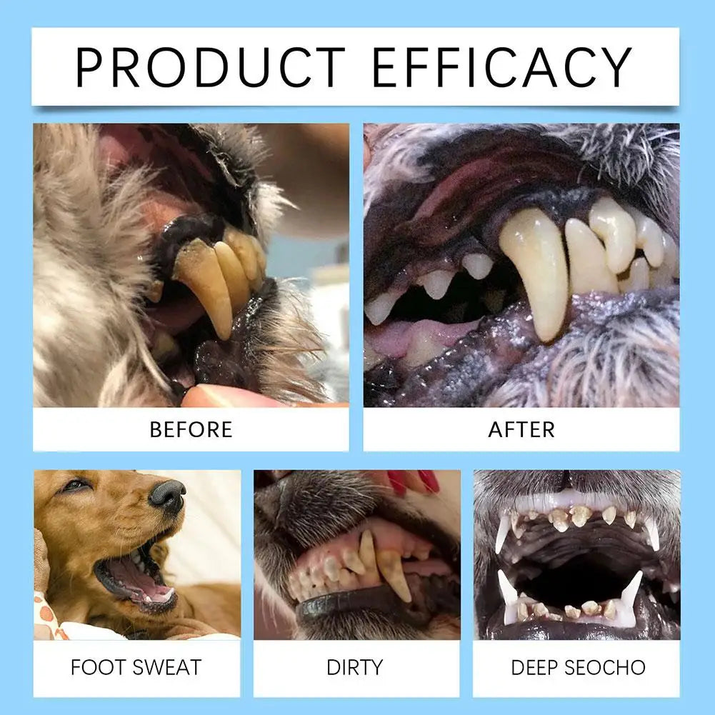 Pet Toothbrush Pen Remove Tartar Deep Cleaning Oral Breath Remove Yellowing Prevent Health Portable Supplies Bad Pet B7Y5