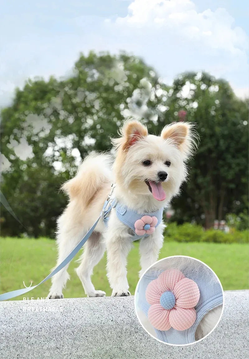 Adjustable Pet Dog Harness with 1.2m Leash Set Pet Collar Leash Outdoor Walking For Puppy Cats French Bulldog Chihuahua