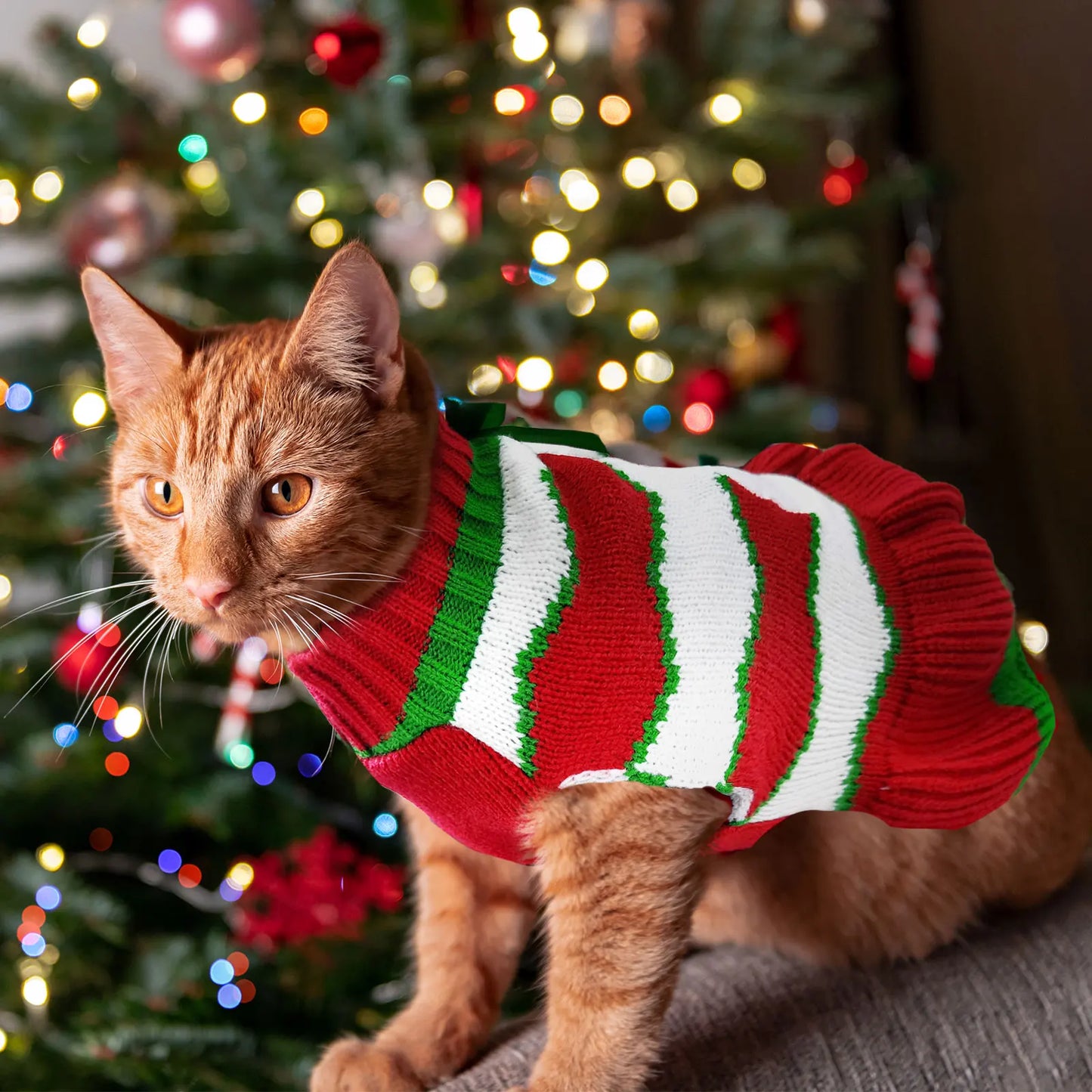Striped Dog Sweater Dress Winter Knitted Pet Dog Skirt Puppy Coat Dog Warm Clothes Labrador Jacket Costume for Small Large Dogs