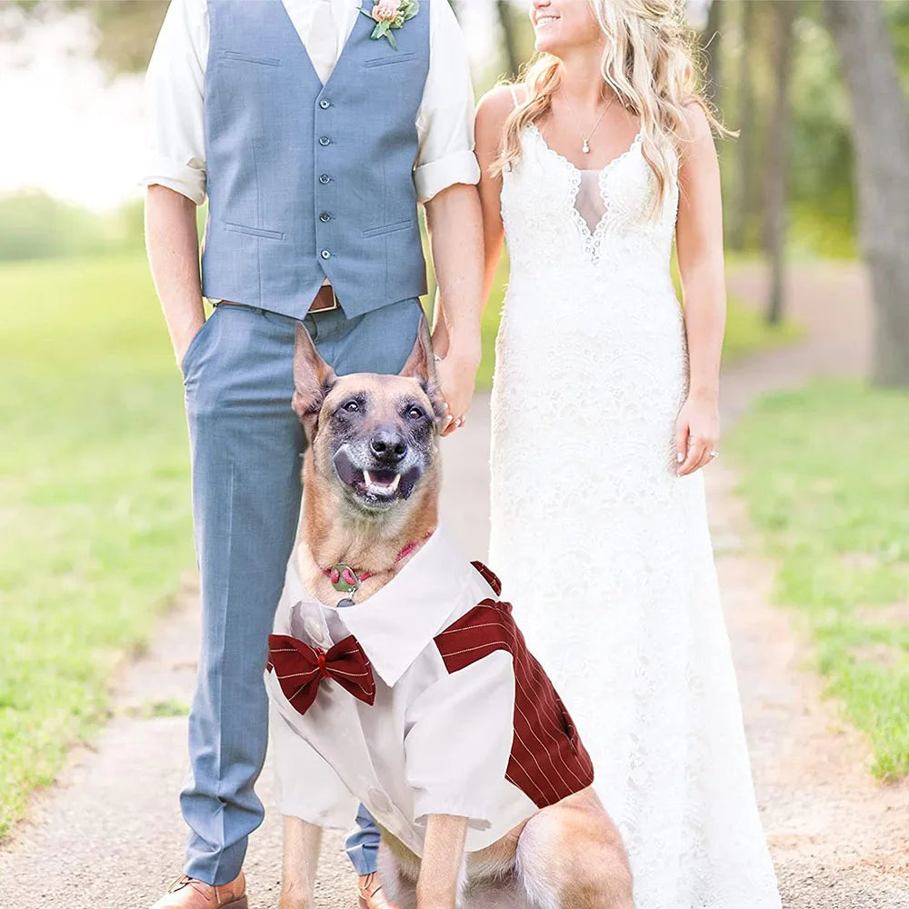 Dog Tuxedo Formal Dog Suit Shirt with Bow Tie Pet Stripe Suit for Wedding Birthday Party Puppy Prince Costume for French Bulldog