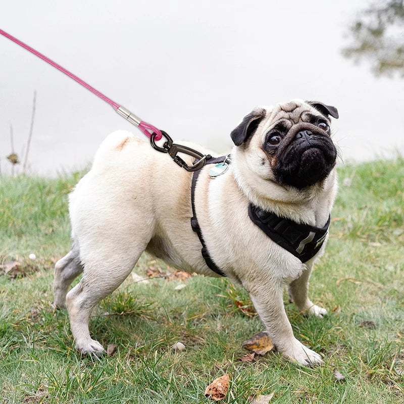 Dog Tie Out Cable Leash, Double Durable Steel, Welded Clamp, Lead, Small, Medium, Large Dogs, Outdoor Leash Belt