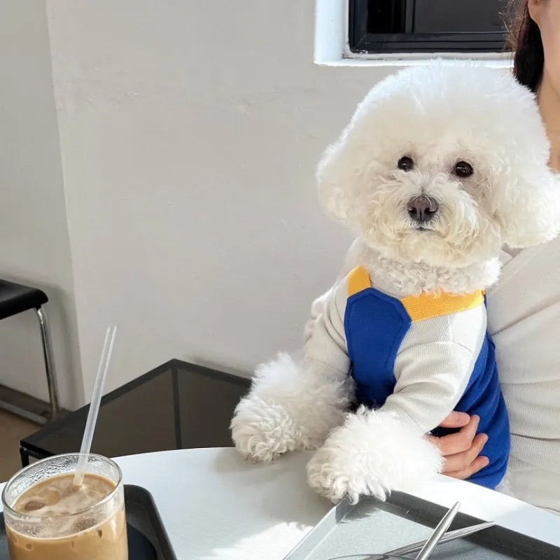 Dog Jumpsuit Summer Puppy Clothes 2024 Cute Pet Rompers Color Block Casual Dog Pants Bichon Pug Chihuahua Suspenders Dog Coat