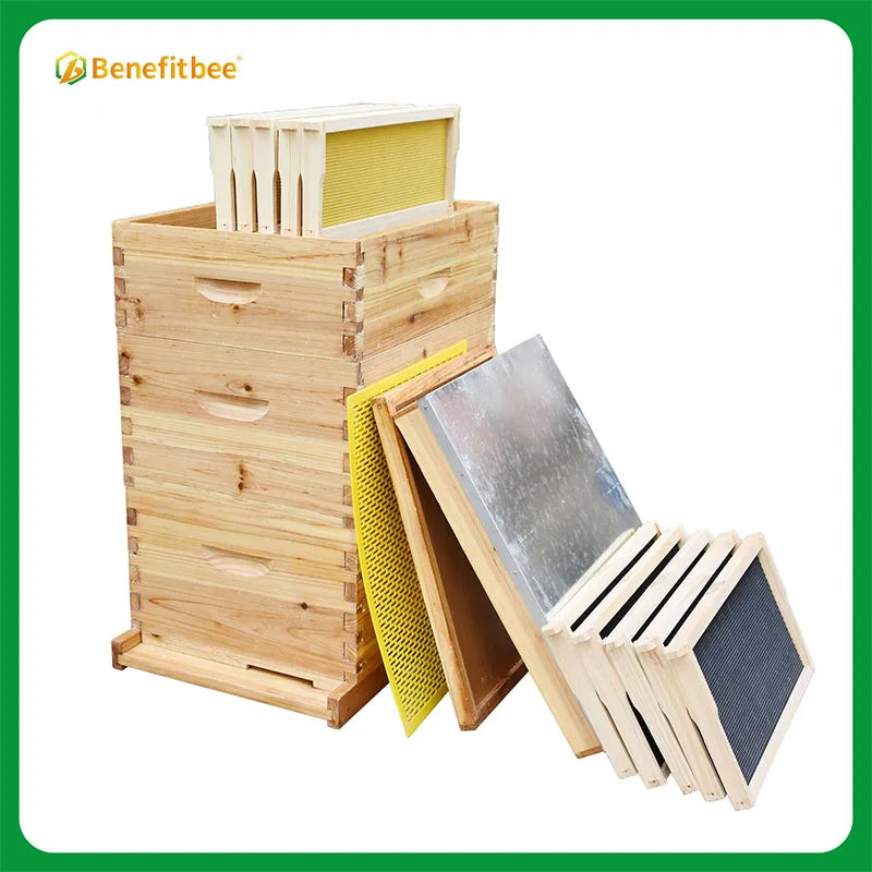 Wholesale bee hives beekeeping wooden langstroth beehive with frame