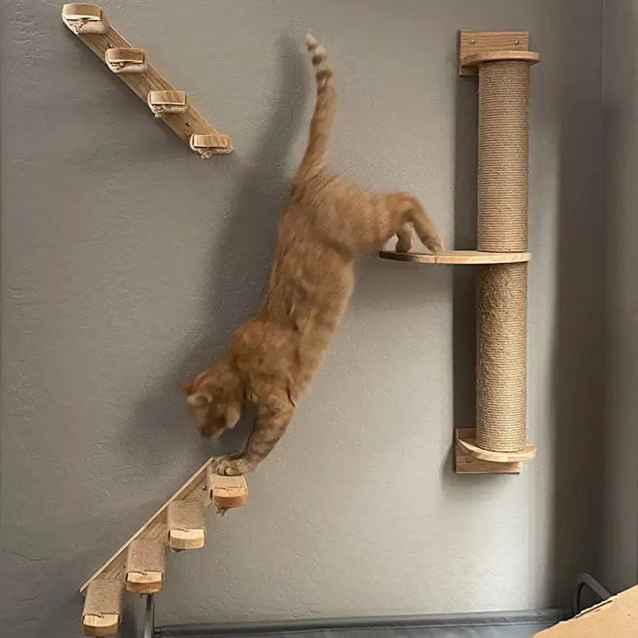 Cat Wall Pet Wooden Furniture Climbing Shelves Cat Hammock with Ladder or Jumping Platform for Kittens Indoor Playing and Perch