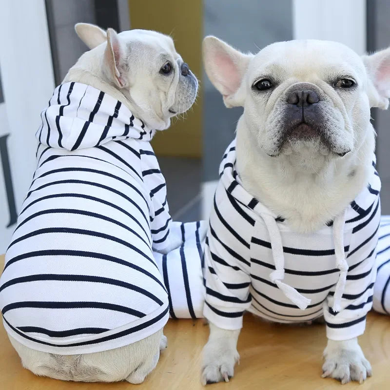 2023New Spring Summer Dog Hoodies Puppy Small Dog Costume Shirt Yorkshire Terrier Pomeranian Bichon Poodle maltese Clothing Coat