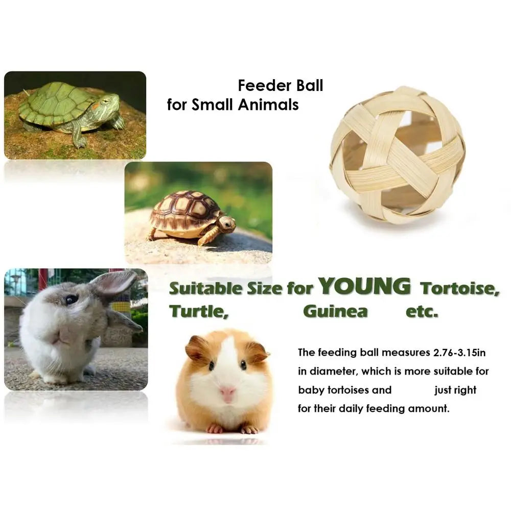 Turtle Feeding Ball Fruit Vegetable Holder with Training Skateboard 2 Treat Balls Turtle Enrichment Toys for Tortoise Turtle