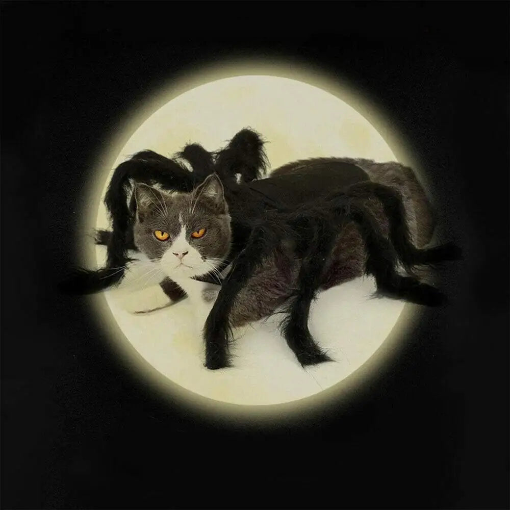 Spider Costume For Cats Fun Realistic Dogs Cats Cosplay Outfit Scary Halloween Dressing For Pet Supplies Festive Costume For