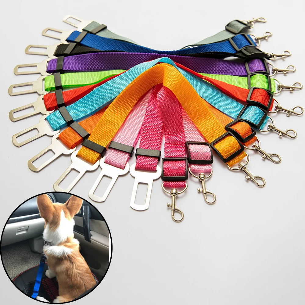 Adjustable Seatbelt Leash